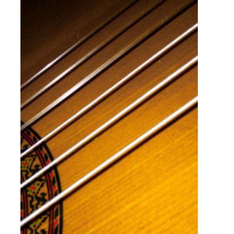 Product Introduction of senar gitar classic nylon EJ45 clear nilon 3