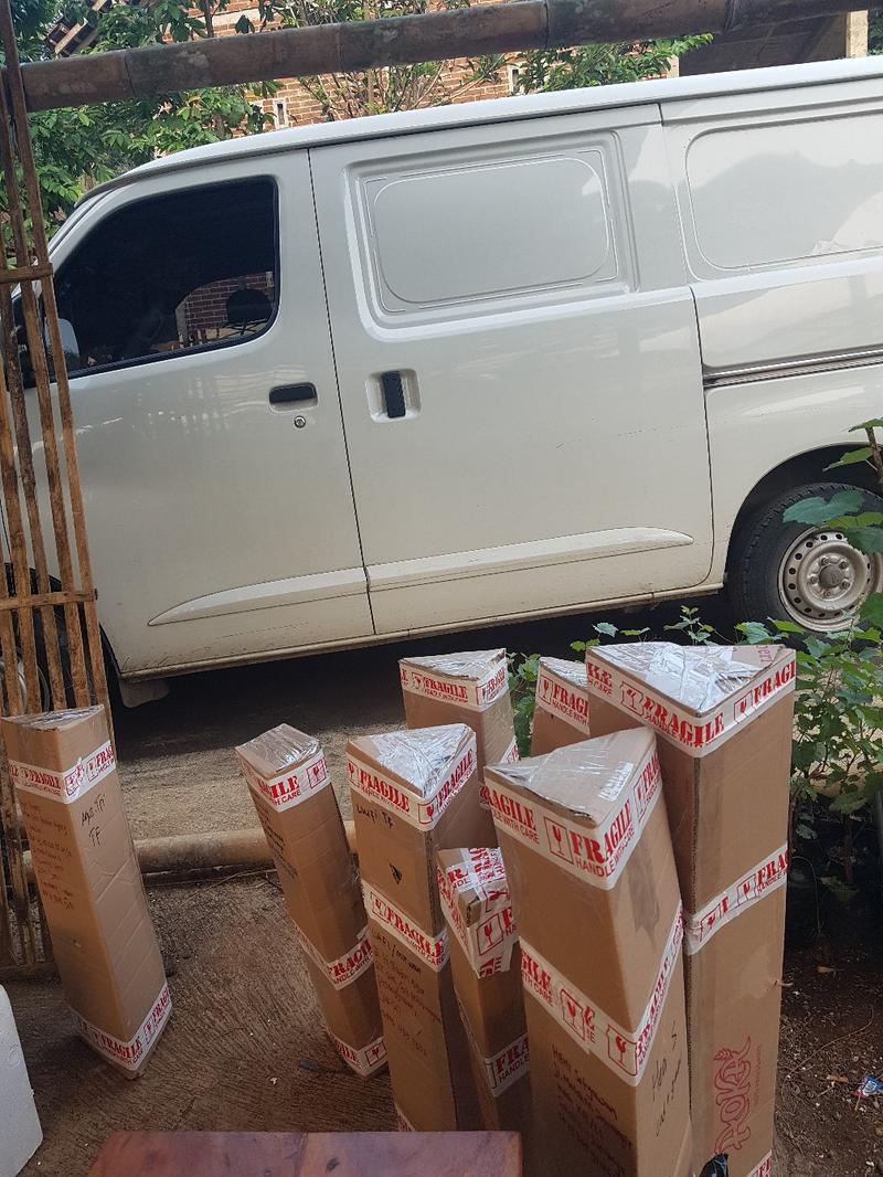 Product Introduction of benih unggul anggur import , 80cm-1 meteran 9