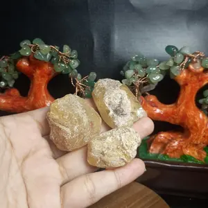 Natural Amber Kuning UV Reactive (4)