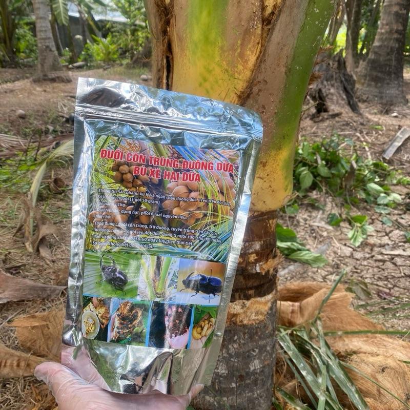 Combo 2 gói bột bù xè, đuông dừa, bọ cánh cứng treo trên cây dừa 2gói(40túi dạng túi lọc) 5