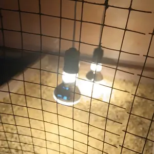 Pioline NR63 Spot 25W / 40W / 60W Lampu PIJAR SPOT Reflektor Pemanas PENGHANGAT AYAM CHICKEN MAKANAN KFC Reptil Cahaya Kuning Hangat Stabil