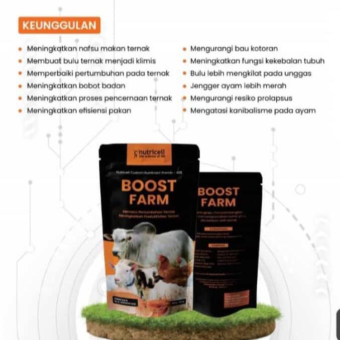 Nutricell Boost Farm Nutrisi Ternak untuk Sapi, Kambing, dan Domba 5