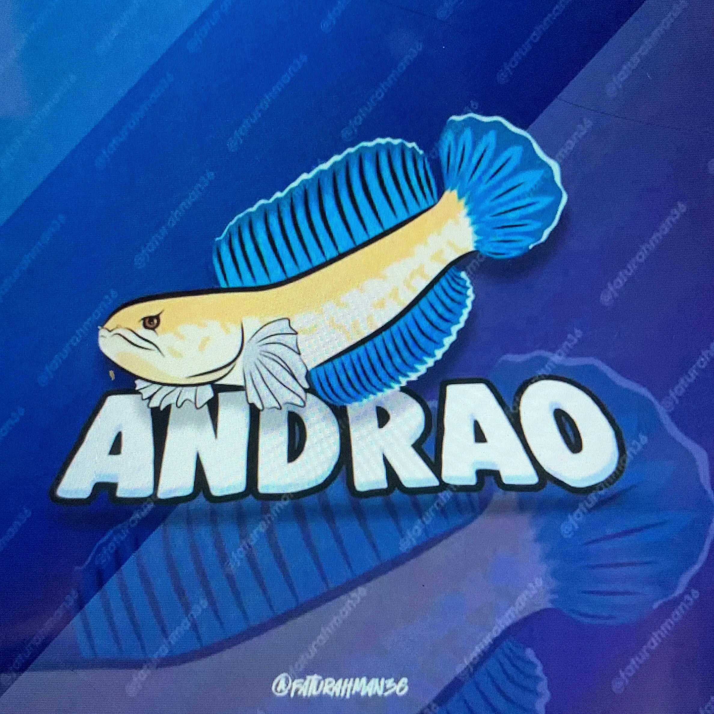 Seticker premium andrao 4-5