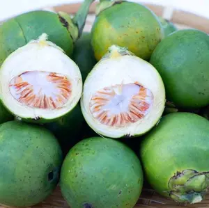 Buah pinang muda ,di petik langsung dari pohon siap kirim