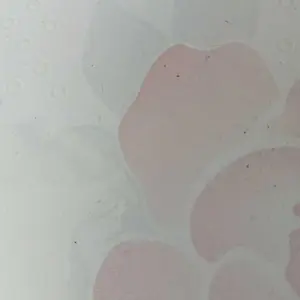review image 6