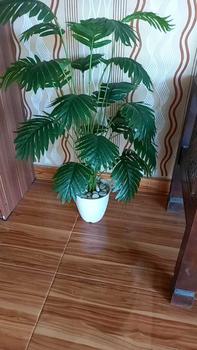 Product Review of 1set palem 120CM TKG artificial dengan pot pirus from a**i ** 0