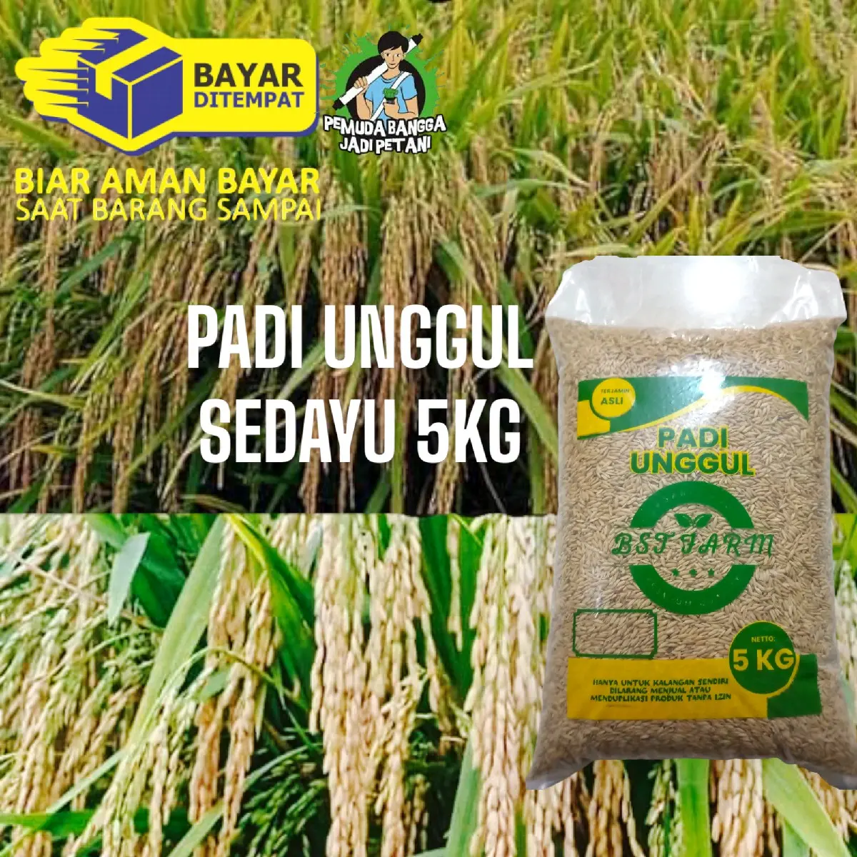 BENIH PADI UNGGUL SEDAYU 5KG