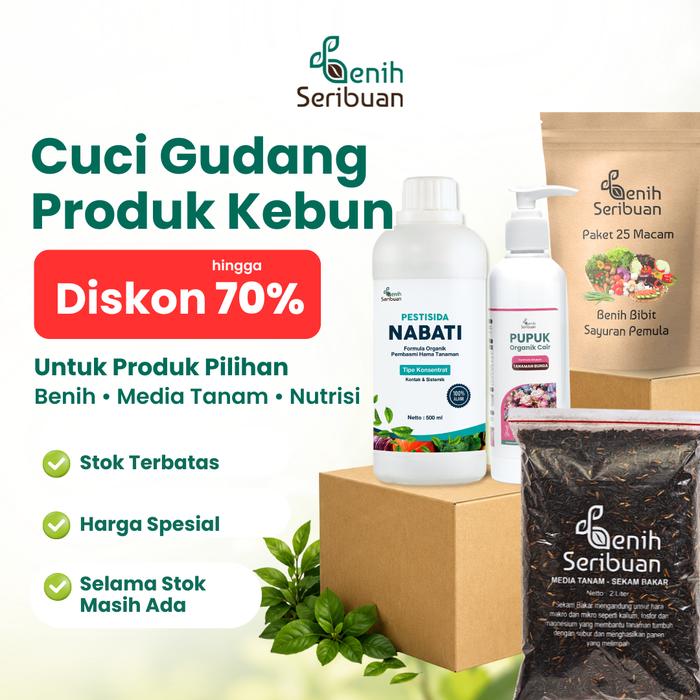 Gambar [CUCI GUDANG] Harga Spesial & Stok Terbatas - Produk Berkebun Pilihan Variasi Benih, Media Tanam & Pupuk - Cabai Ancho Pepper dari Benih Seribuan Kab. Boyolali Tokopedia