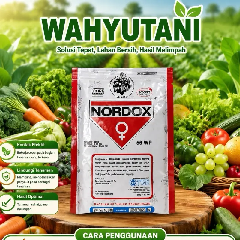 NORDOX Fungisida Kontak 56 WP - Tembaga Oksida 56% untuk Jagung, Padi, Kopi & Kakao 100% Original OMRI & ECOCERT