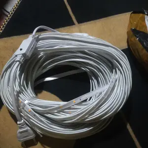 Lampu LED Strip Selang paket RGB 3528 2835 220V + Adaptor 5M/10M/15M/20M/25/30M Outdoor Led Strip Agustus Lampu Hias