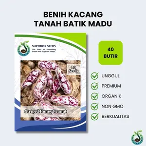 Biji Benih Kacang Tanah Batik | Lurik Madu (Superior Seeds)