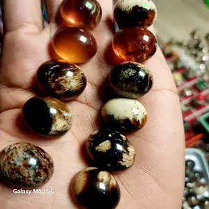 Lostune Batu Getah Katilayu Asli Natural Garansi Keaslian Dimensi 17-20mm Cocok untuk Kolektor dan Penggemar Batu Alami