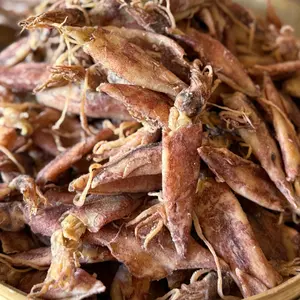 CUMI ASIN GEPENG UKURAN MIX BESAR KECIL