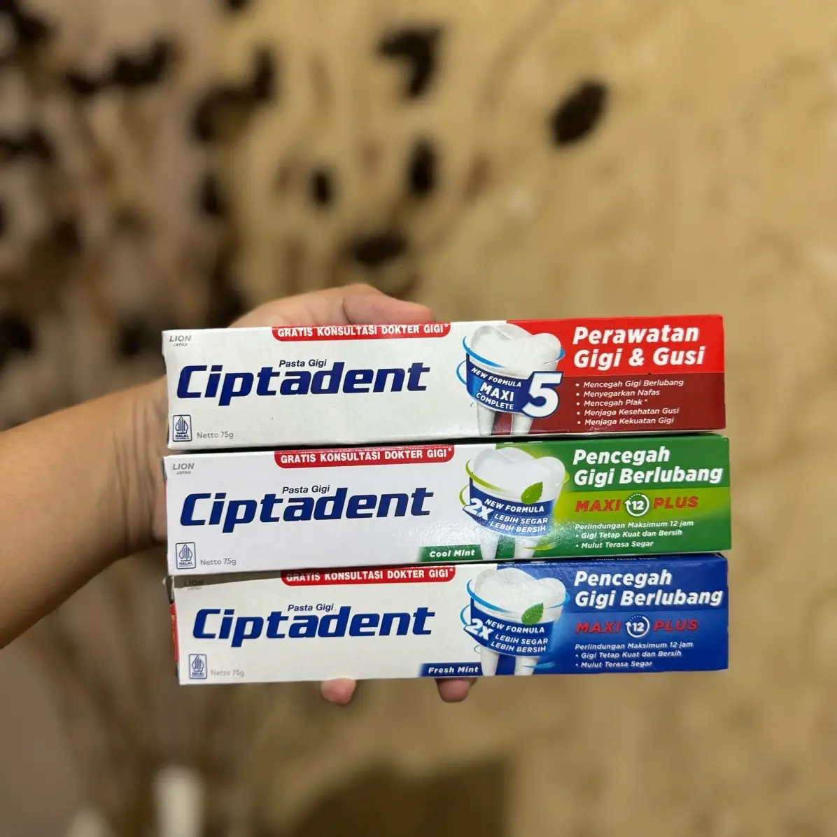 DAPAT 3pcs . Ukuran 75gram (SEDANG)