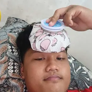 Alat Kompres Es Batu Atau Panas Kantong Kompres Es Batu Ice Bag Kompres