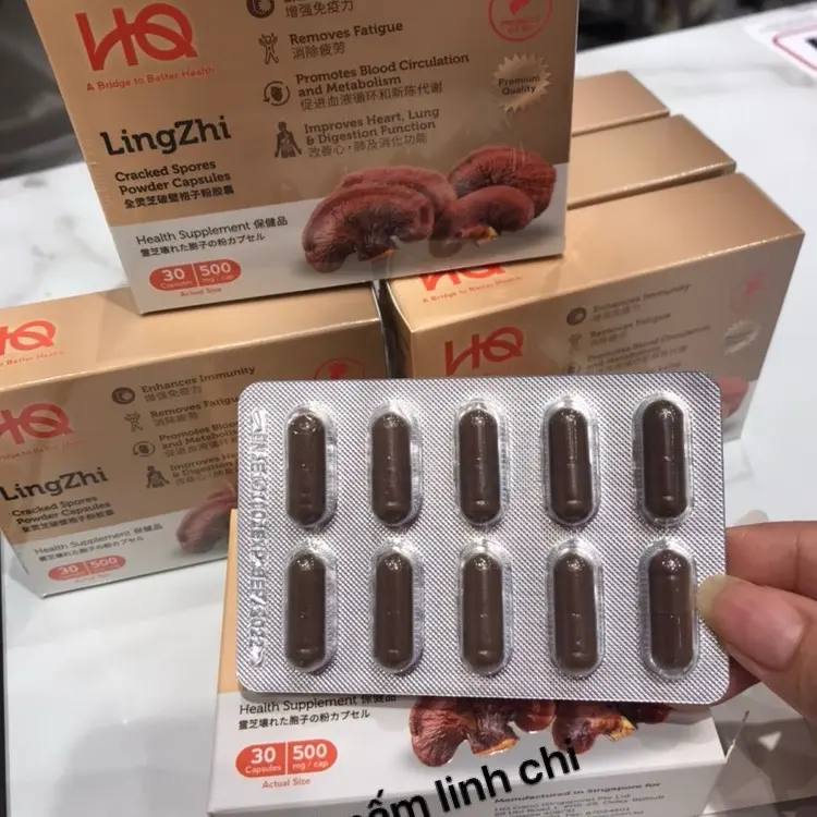 Hq Lingzhi 30 capsules Singapore products Supplement Healthcare