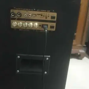 Good Quality D30 12 Inch Car Subwoofer Active With Optical Audio BT AMP USB FM Radio 110V 220V 12V 24V Home Speaker Subwoofer Bluetooth Kabel