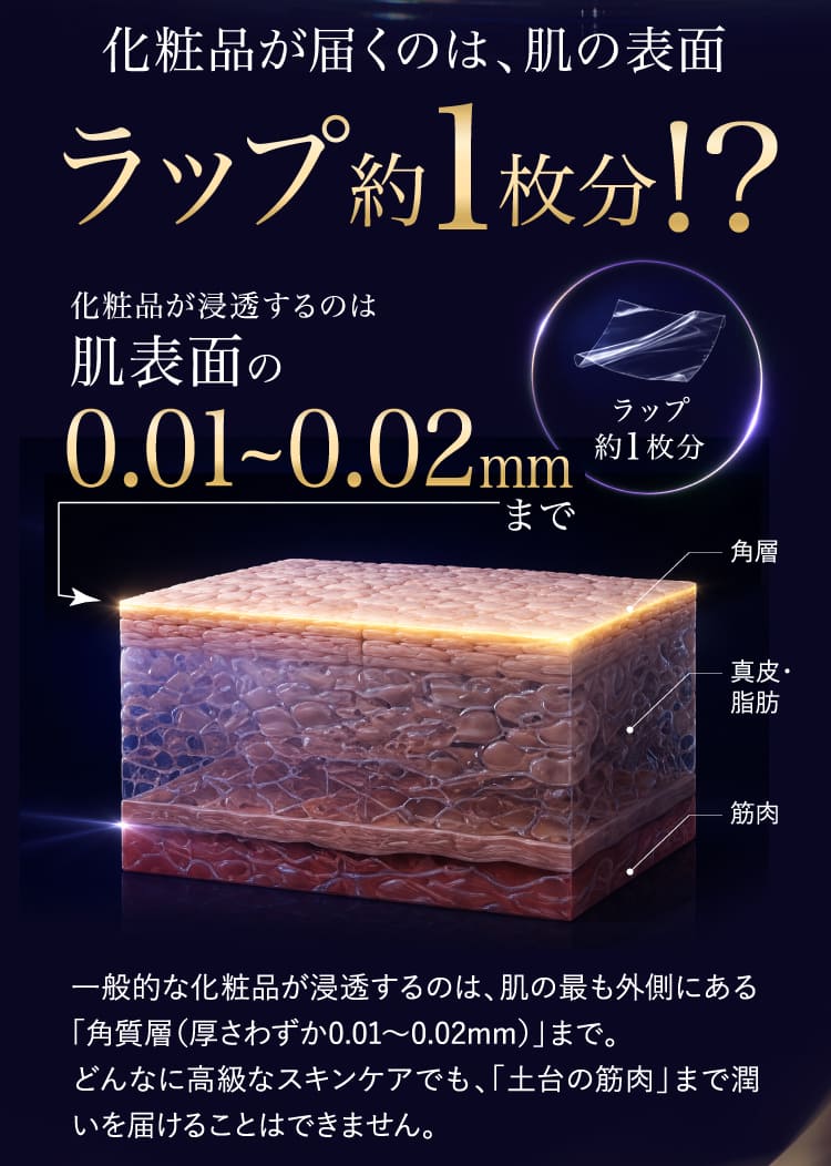 Qoo10] BIOAESTECH 【公式】 バイオエステック 美顔器&専用