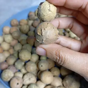 Rempah Manjakani kering Majaan 50g