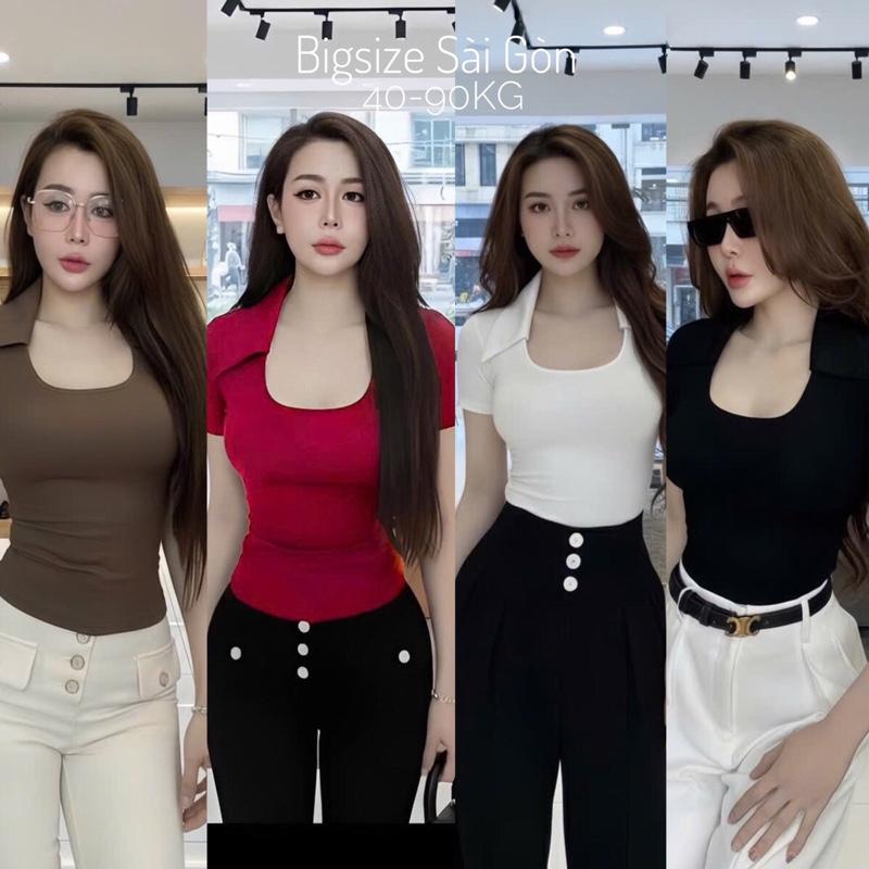  Áo Thun Polo Nữ Phối Cổ Vuông  Vải Thun Borit  Cao Cấp Thanh Lịch Bigsize Cho Nàng 45- 90Kg Dễ Thương Top Nữ Women - B.1640 