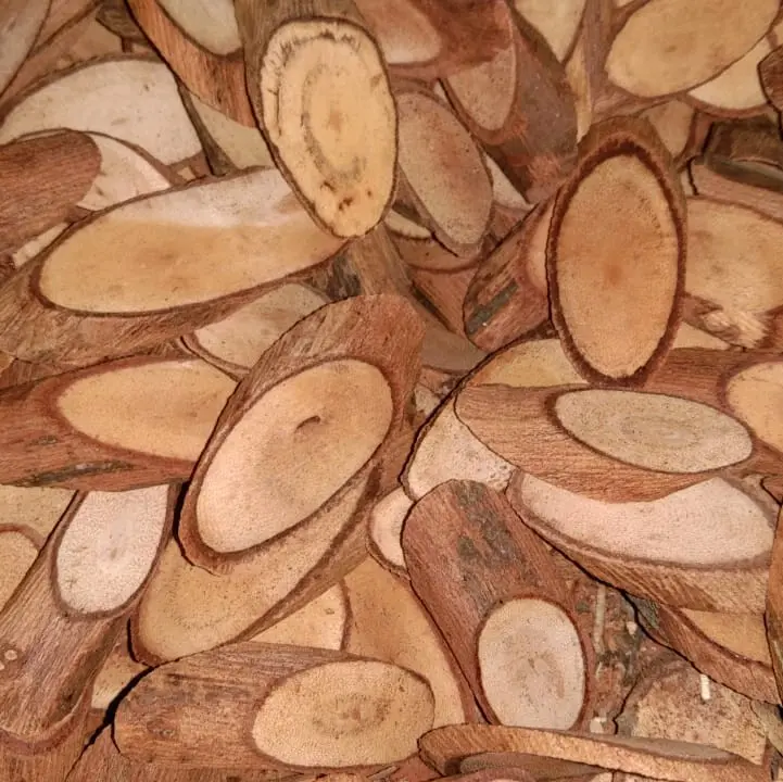 Akar Bajakah Tampala Merah / Kayu Bajakah Tampala Merah (Asli Dari Kalimantan) Kanker/Tumor/Diabestes/Kista/Darah Tinggi/Ambeyen/Benjolan/Gondok/Kelenjar 1