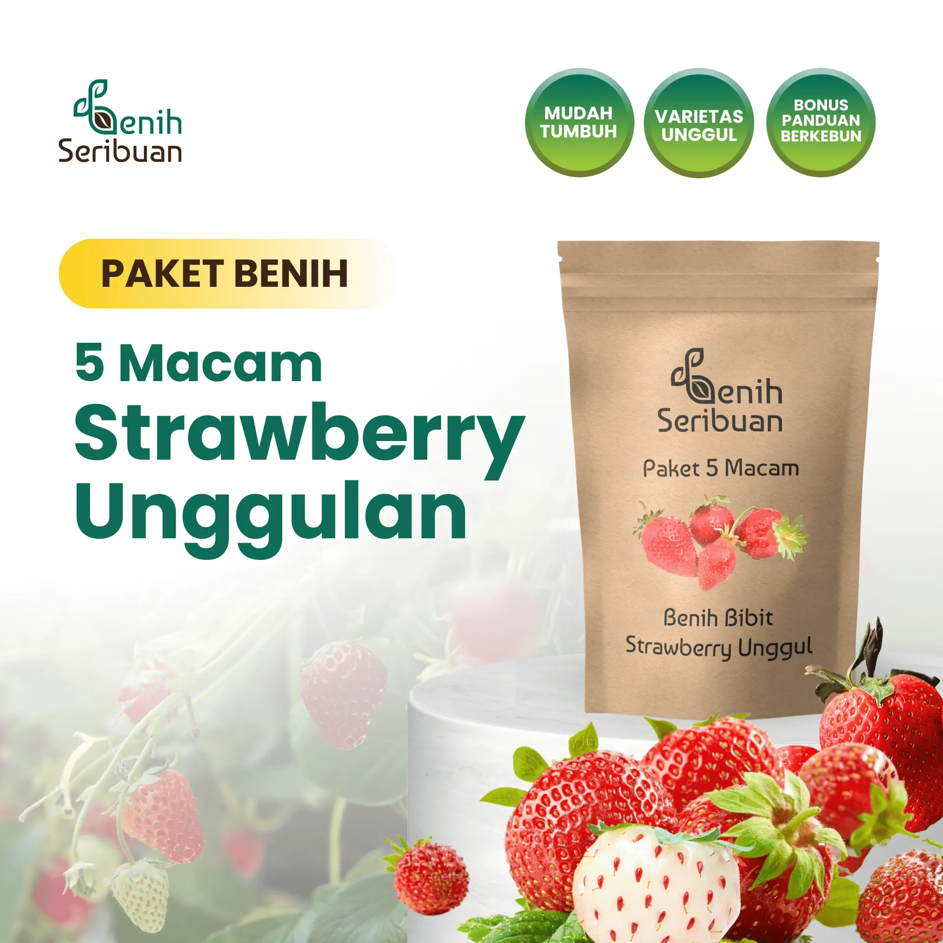 Benih Strawberry 5 Macam Benih Buah Stroberi Unggul Seribuan