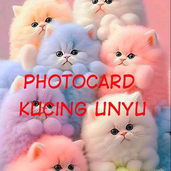 Photocard Kucing Unyu. 25 pcs. Limited Edition