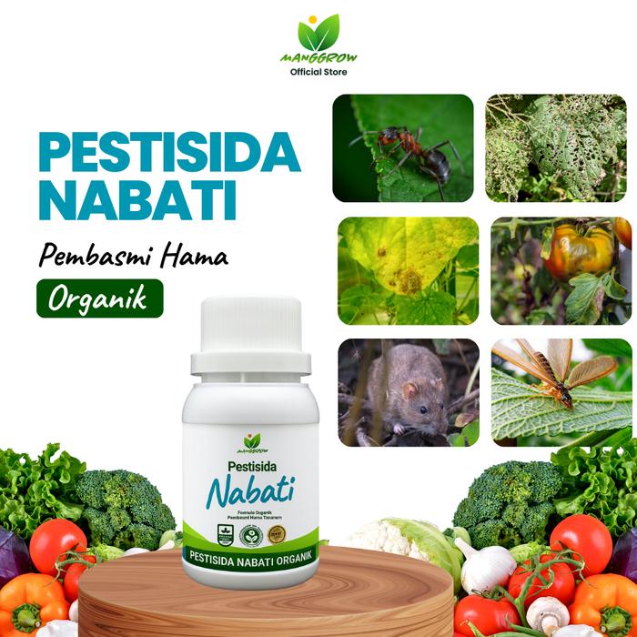 Gambar Pestisida Nabati Organik MANGGROW 100 ml – Pembasmi Hama Alami untuk Semua Tanaman dari Manggrow Official Shop Kab. Sukoharjo Tokopedia