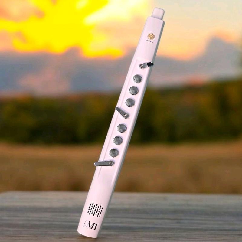 Sáo điện tử M1 có thanh lướt