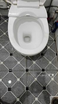Product Review of 【inemjogja X Logeski】Logeski pembersih kerak wc Toilet Bowl Cleaner memiliki daya pembersihan yang tinggi. Tidak perlu menggosok dengan keras. Membersihkan toilet, mendisinfeksi dan membersihkan 99,9% from a**🤓 1