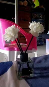 Product Review of MTE Pengharum Ruangan Aesthetic Aromatherapy Stick Reed Diffuser 50ML from M**a 0