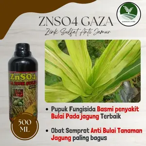Obat Semprot Basmi Bulai Pada Jagung terbaik - ZNSO GAZA 500ML - Obat cair menekan penyakit bulai jagung paling bagus