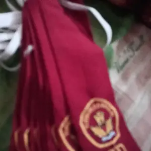 DASI SD BISA SATUAN HARGA GROSIR / DASI SD ANAK SEKOLAH PANJANG 25 CM / LAKI LAKI & PEREMPUAN