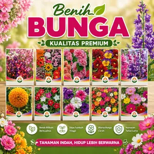 Bibit Tanaman Bunga Moss Rose (Sutra Bombay) PREMIUM QUALITY Isi 10.000 Benih