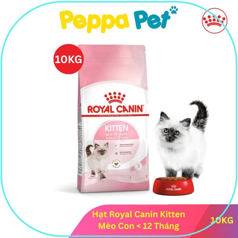 Sản phẩm thú cưng Thức Ăn Mèo - Hạt Royal Canin Kitten - Dinh Dưỡng Hoàn Chỉnh…