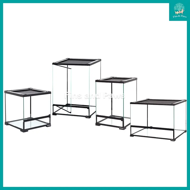 [ReptiZoo] Reptile Glass Terrarium / Paludarium Tank for Crab, Reptile, Insects and Plants