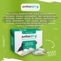 Gambar KALBE Anthel Dog Obat Cacing Anjing - 1 Box @30 Tablet dari Kalbe Animal Health Kota Administrasi Jakarta Timur 3 Tokopedia