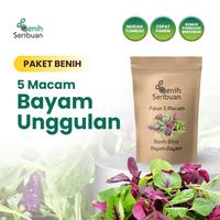 Gambar Benih Bayam Paket 5 Macam Bibit Sayuran Bayam Hijau Merah Sayur Unggul - PK 5 BAYAM dari Benih Seribuan Kab. Boyolali 1 Tokopedia