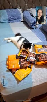Product Review of 【PET DIARY】50pcs Cemilan Kucing Snack Kucing 15g/strip Kuing Kecil dan Kucing Besar Snack Pengemukan Kucing Pelengkapa Hewan Peliharaan from M**e D**e 1
