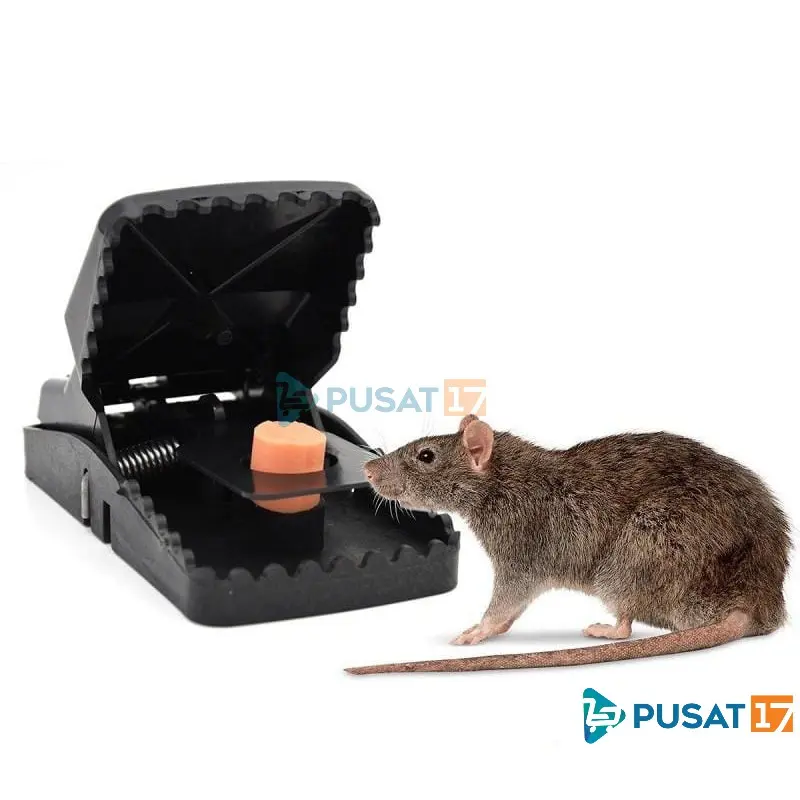 PERANGKAP TIKUS AMPUH POLOS /JEBAKAN TIKUS MOUSE TRAP PVC