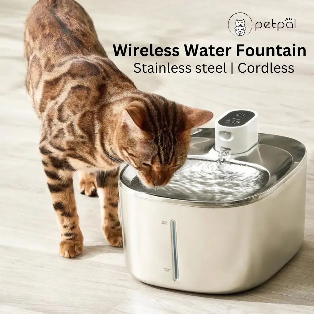 Wireless Stainless Steel Water Fountain For Pets (4 Litre) Battery Operated with Water Level Window water bowl waterfountain catwaterfountain