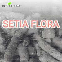 Gambar [INSTAN] Batu Alam Karang Jahe Media Aquarium Filter Kemasan Karungan Via INSTAN dari Setia Flora Kota Administrasi Jakarta Selatan 5 Tokopedia