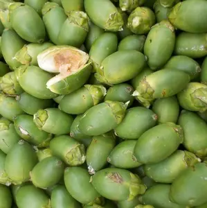 BUAH PINANG MUDA /JAMBE/JEBUG/JAME MUDA SEGAR,kualitas bagus, siap pakai untuk Pembuatan Jamu, herbal, buah herbal. 1kg/500gr