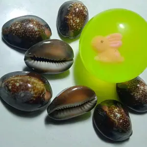 Bekel Set Kerang Hitam Mainan Tradisional Anak Jaman Dulu Permainan Toys Hadiah Asli