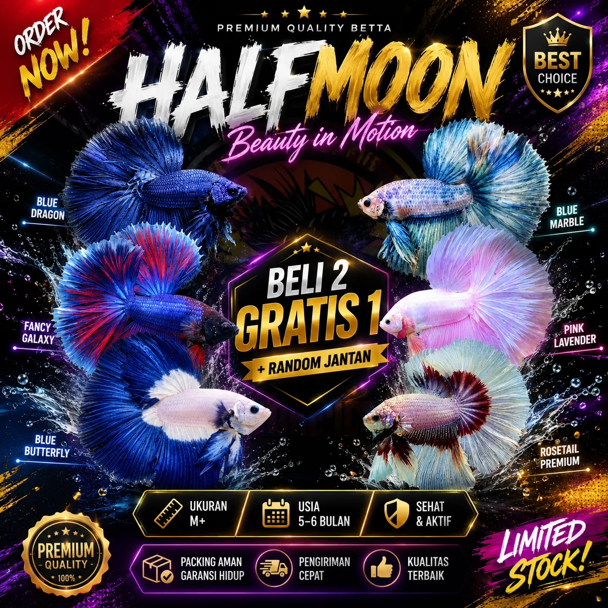 Halmun RANDOM BELI 2 GRATIS 1 Penambah Estetika Koleksi Dekorasi Aquascape Untuk Aquarium