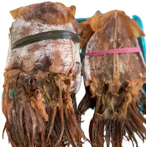 Cumi kering juhi kering sotong kering tawar
