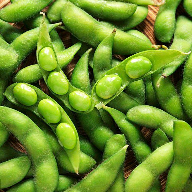 Product Introduction of [High Germination] Edamame Seed Vegetable Seeds for Planting (50 Seeds/Pack) High Yield Vegetable Seed Organic Vegetables Seeds for Gardening Bonsai Plant Seeds Fresh Vegetables Growing Seeds Easy To Grow Singapore Potted Live Plants Microgreens Seeds 8