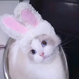 Bunny Hat Topi Kelinci Untuk Hewan Kucing Anjing Design Lucu Topi Telinga Hewan