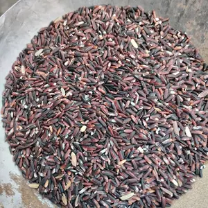 makanan perkutut top joss spesial ketan hitam super 100gram