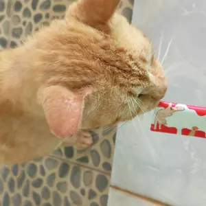 CHIYO Makanan Kucing Basah/ Wetfood Cemilan Stik/ Pet Strip Kucing